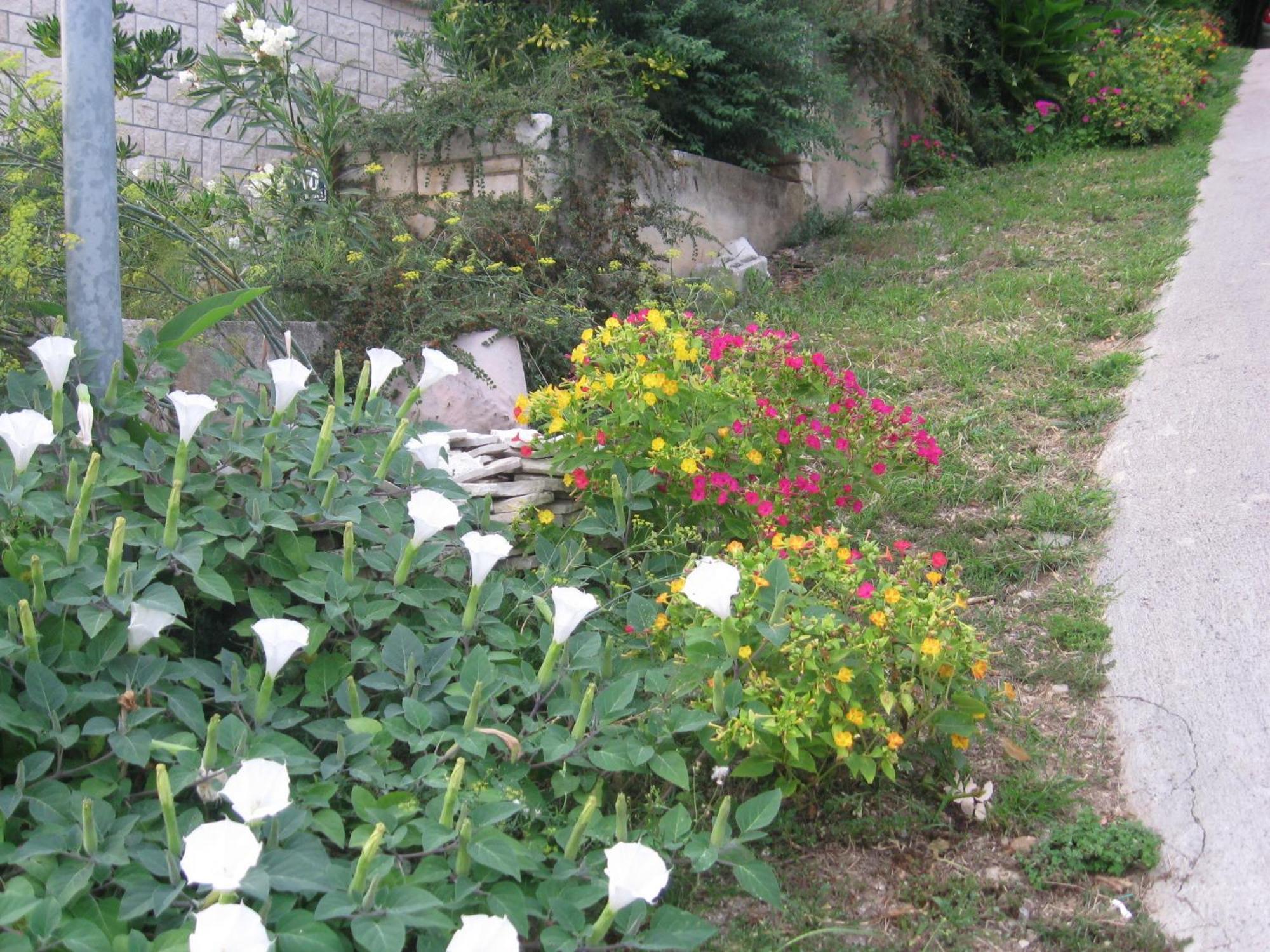 Apartments Silmare Rabac Rum bild